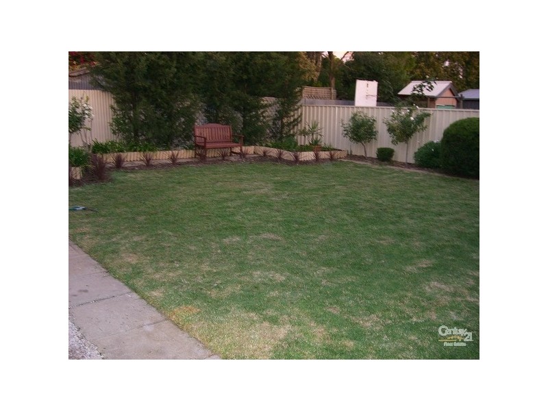 7 Hammond Street, Clarence Park SA 5034