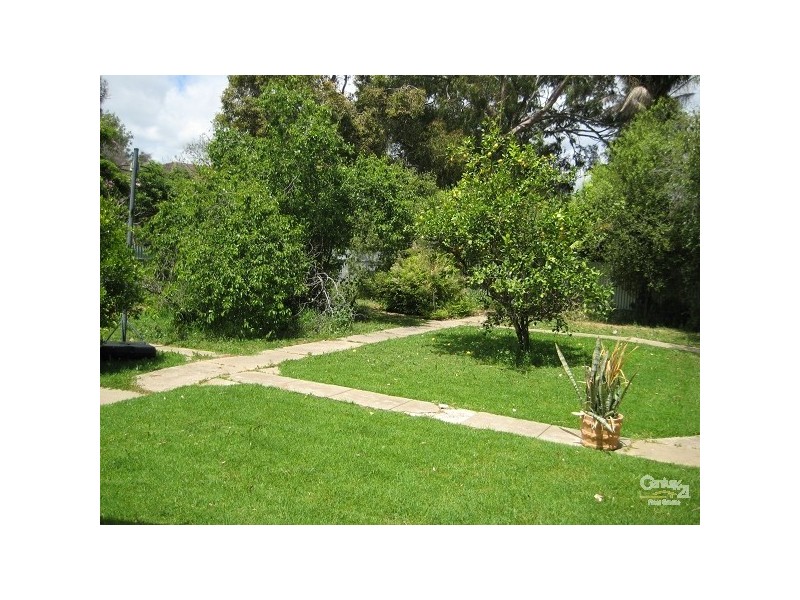 17 Birkdale Avenue, Clarence Park SA 5034