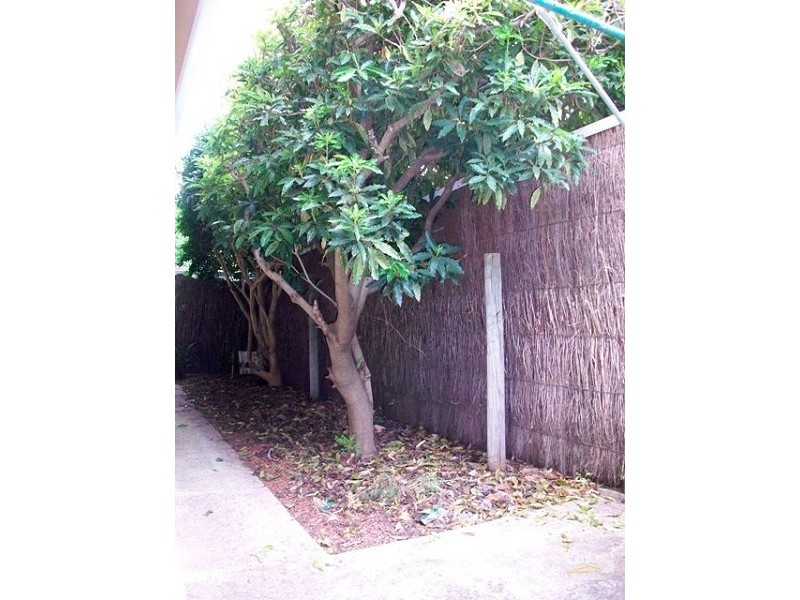 2/11 Seaton Avenue, Hazelwood Park SA 5066