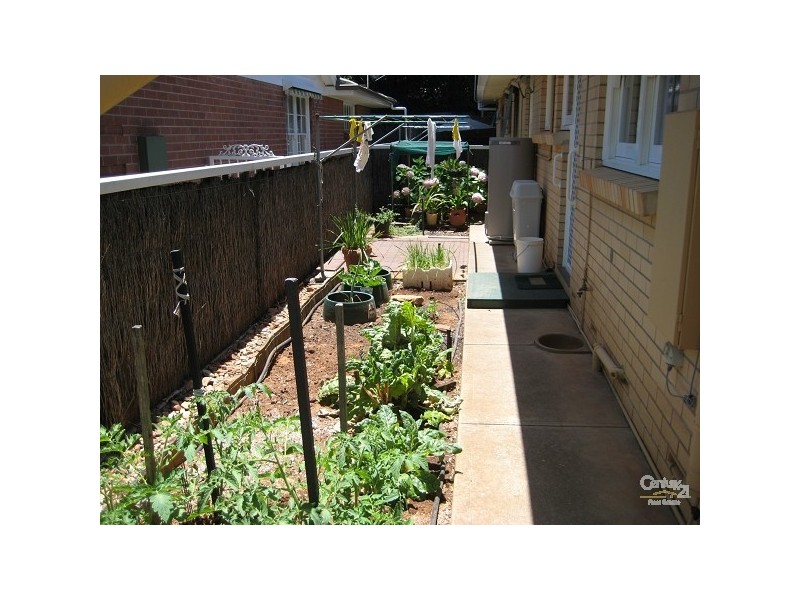 1/14 Belmont Street, Lower Mitcham SA 5062