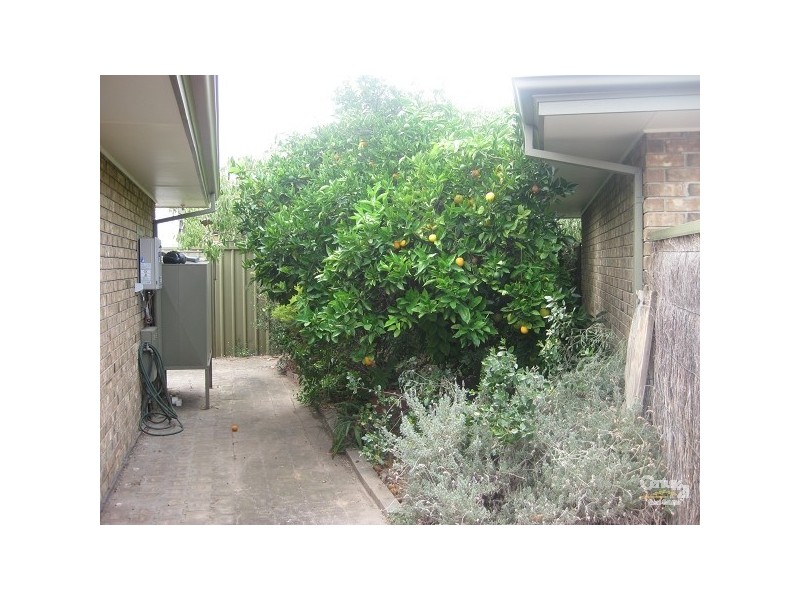 5/5 Wattle Terrace, Plympton Park SA 5038