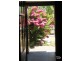 43 Beauchamp Street, Kurralta Park SA 5037