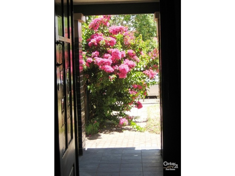 43 Beauchamp Street, Kurralta Park SA 5037