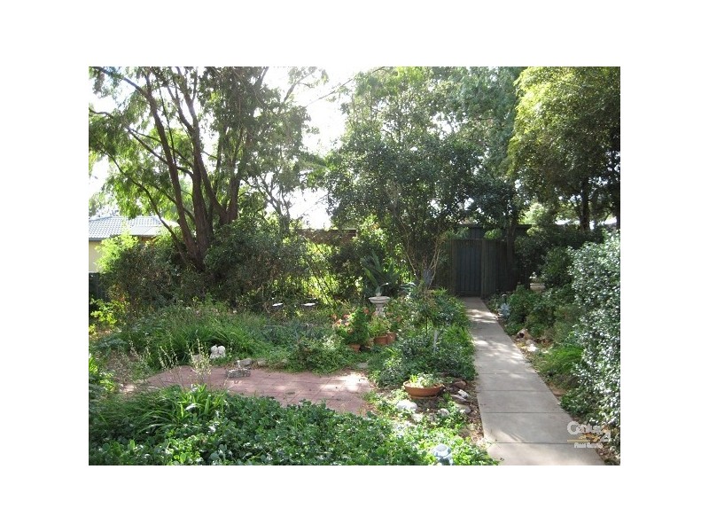 25 Brook Street, Torrens Park SA 5062