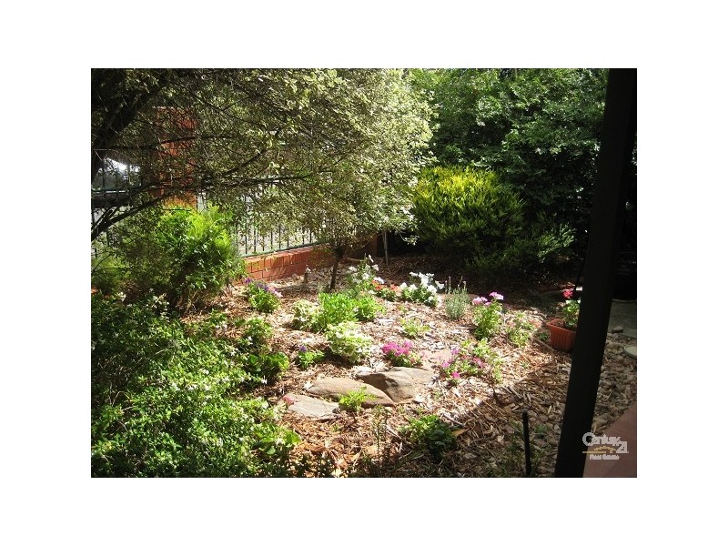 35 Hardy Street, Millswood SA 5034