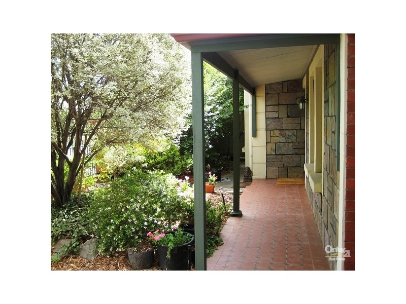 35 Hardy Street, Millswood SA 5034