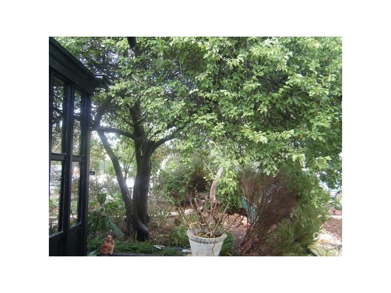 31 Albion Terrace, Campbelltown SA 5074