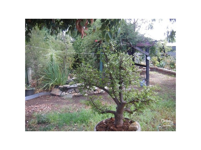 31 Albion Terrace, Campbelltown SA 5074