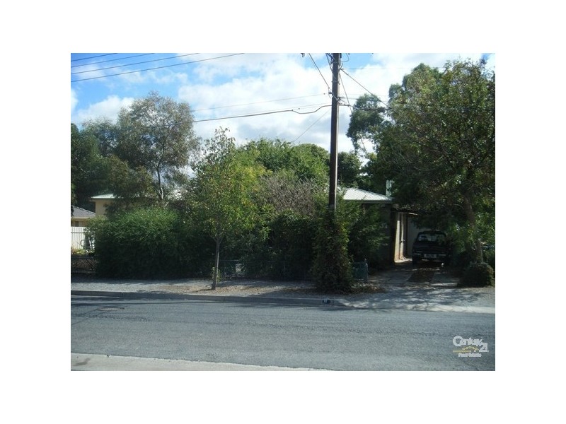 31 Albion Terrace, Campbelltown SA 5074