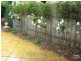 37 Morris Street, Evandale SA 5069