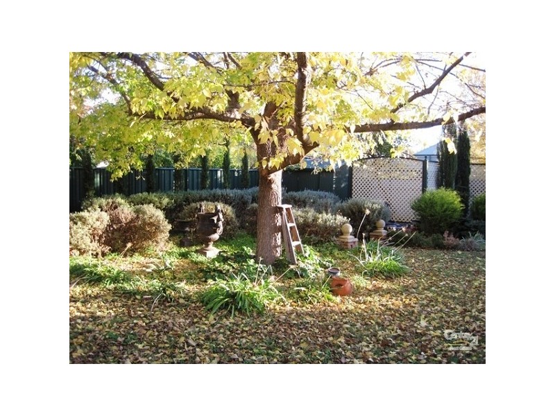 37 Morris Street, Evandale SA 5069