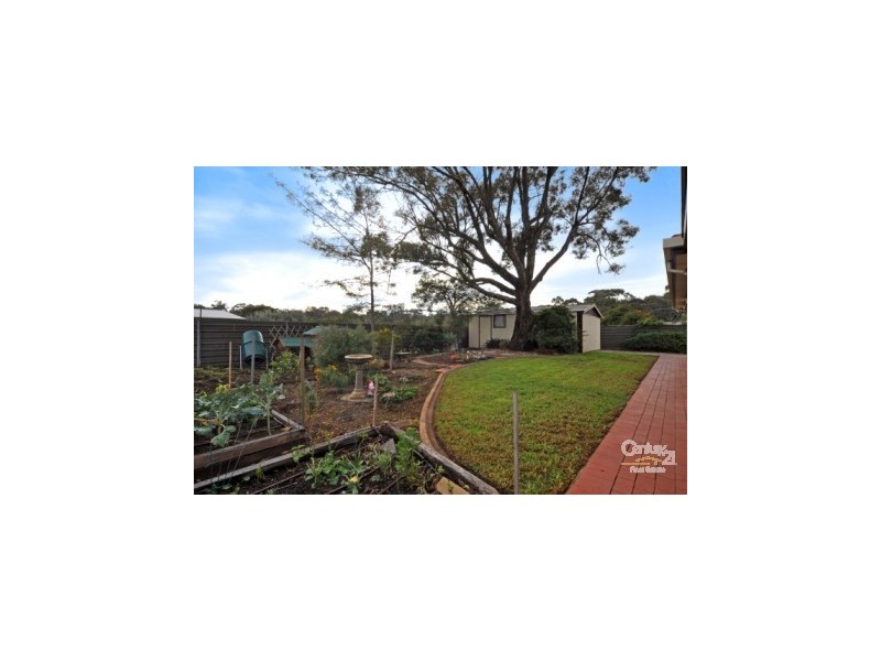 29 Gorelon Drive, Flagstaff Hill SA 5159