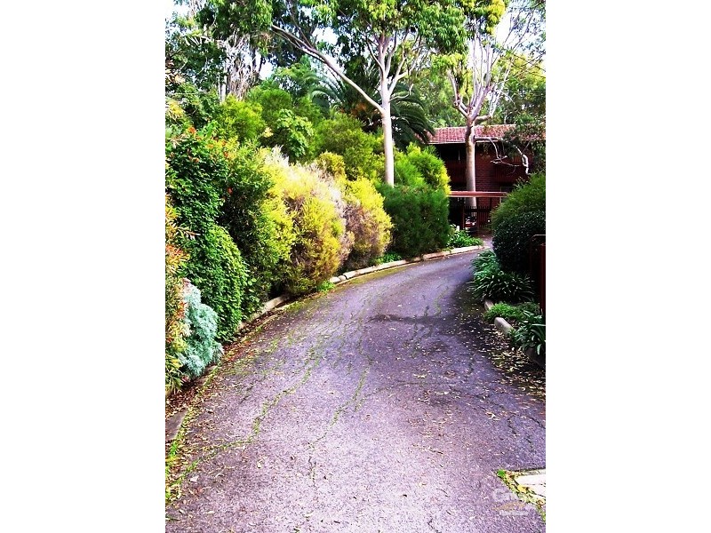 3/36 Trevelyan Street, Wayville SA 5034