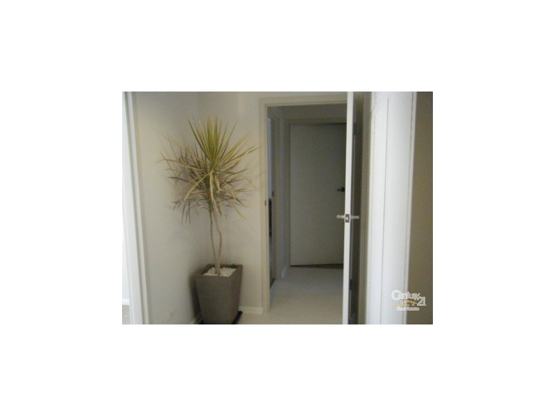 3/61 Third Avenue, Forestville SA 5035