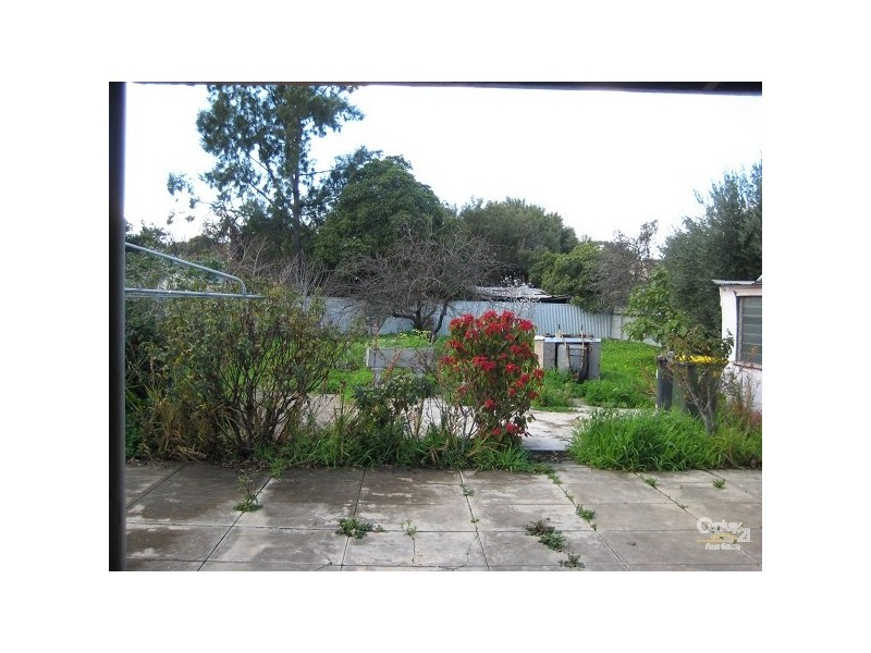 19 Essex Street North, Goodwood SA 5034