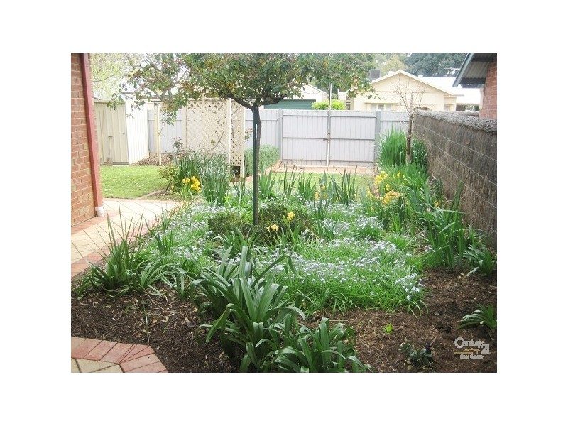 26 Ormonde Avenue, Millswood SA 5034