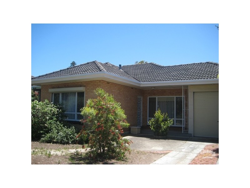 17 Barker Avenue, South Plympton SA 5038