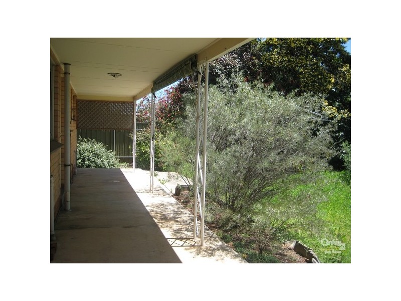 17 Barker Avenue, South Plympton SA 5038