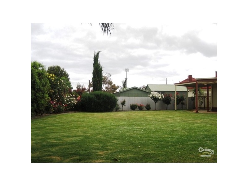 12 Gladys Street, Clarence Gardens SA 5039