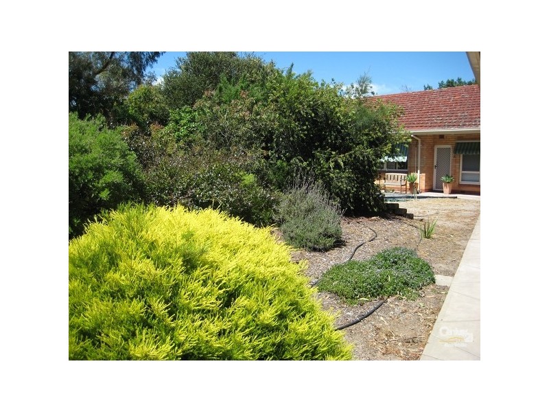 6/635-637 South Road, Black Forest SA 5035