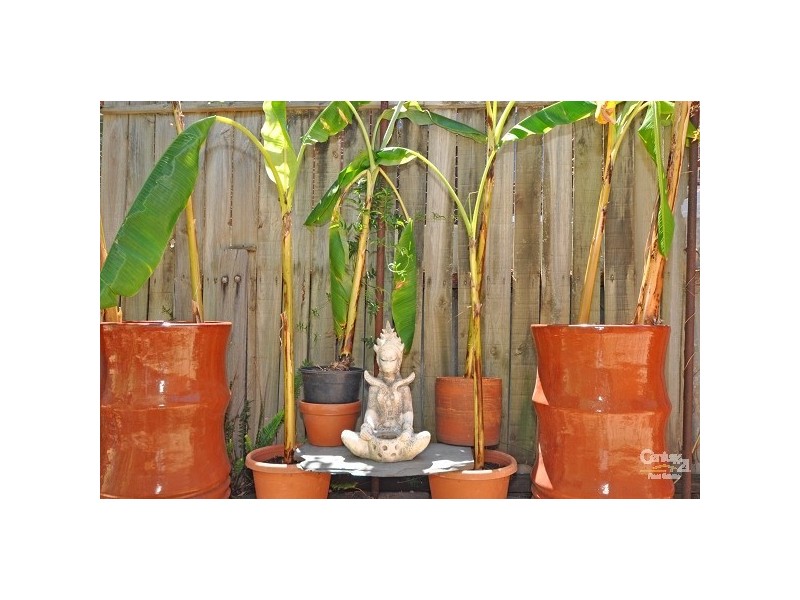 21 Clovelly Avenue, Clarence Gardens SA 5039