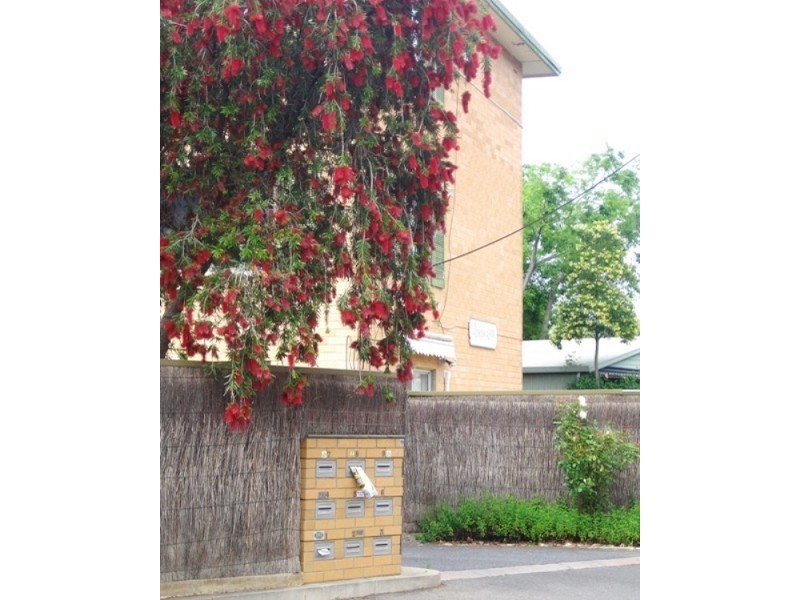 5/19 Florence Street, Goodwood SA 5034