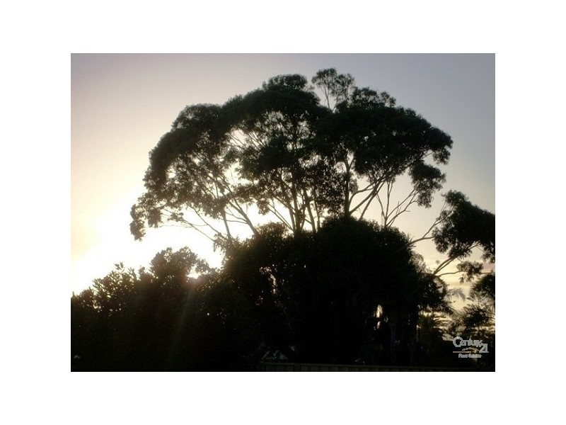 1-50/51 Adelphi Terrace, Glenelg North SA 5045