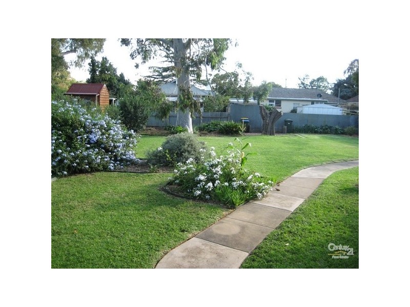 14 Holme Avenue, Lower Mitcham SA 5062