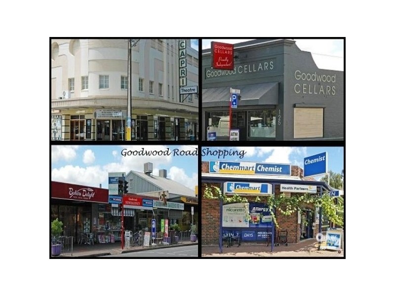 2/184  Goodwood Road, Millswood SA 5034