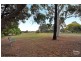15 Raymel Crescent, Campbelltown SA 5074
