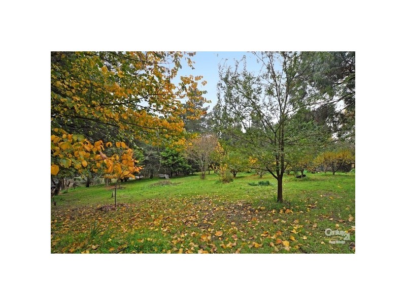 Lots 26 & 27 Jamieson Street, Forreston SA 5233