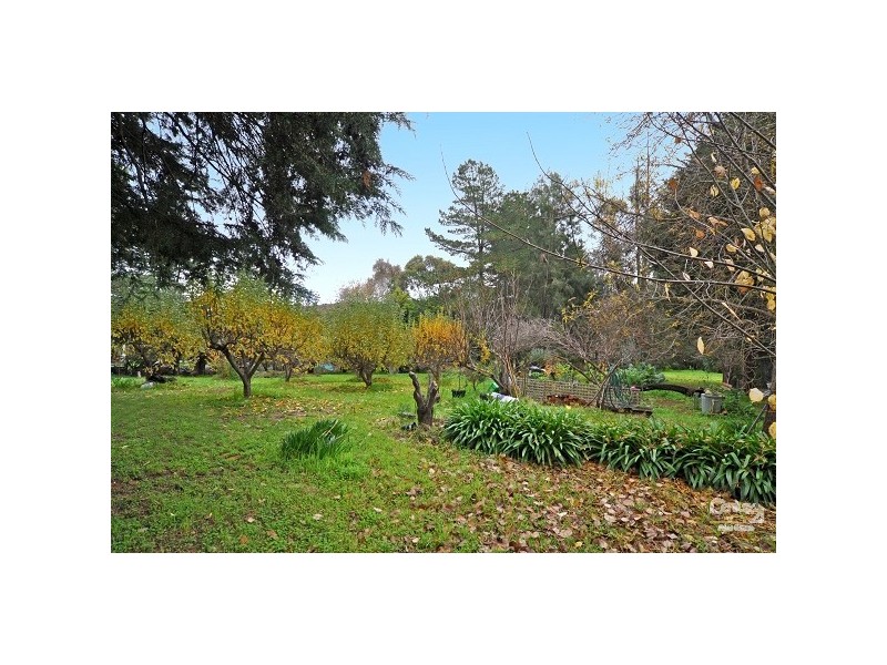 Lots 26 & 27 Jamieson Street, Forreston SA 5233