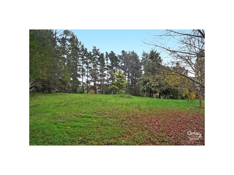 Lots 26 & 27 Jamieson Street, Forreston SA 5233