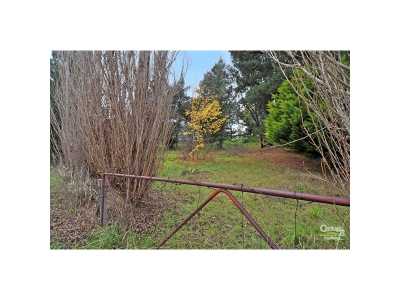 Lots 26 & 27 Jamieson Street, Forreston SA 5233