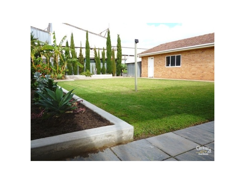 153 Morgan Avenue, Melrose Park SA 5039