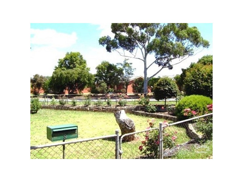 8 Teak Street, Campbelltown SA 5074