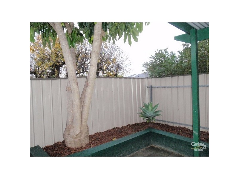 35 Chambers Avenue, Richmond SA 5033