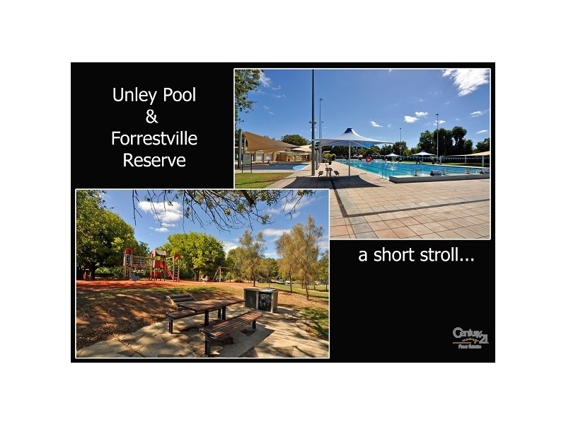 10 Nairne Terrace, Forestville SA 5035