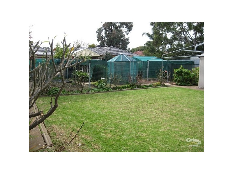 53 Woodlands Terrace, Edwardstown SA 5039