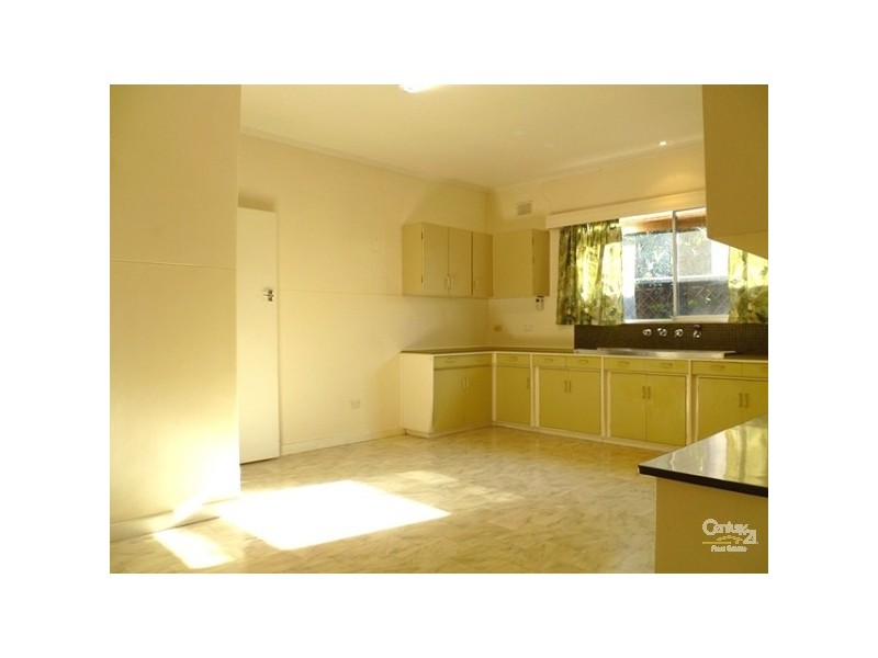 41 Ayers Avenue, Daw Park SA 5041