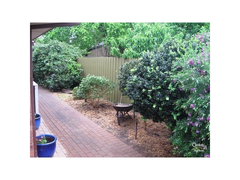 2/50 Warwick Street, Walkerville SA 5081