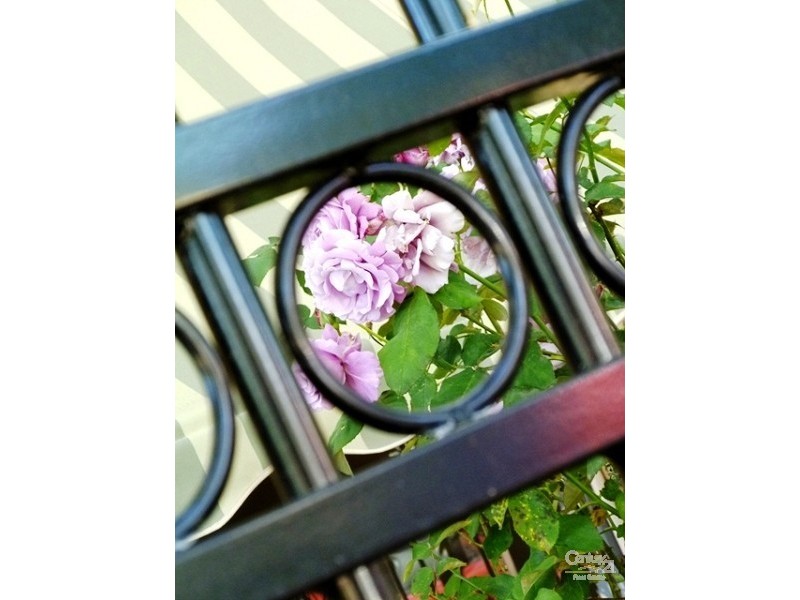 3/249 Cross Road, Cumberland Park SA 5041