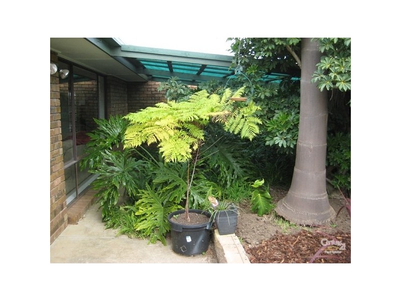 22 Merriwa Road, Sheidow Park SA 5158