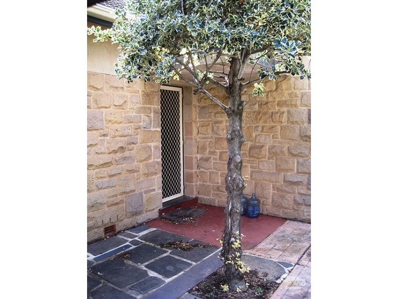 9 Eglington Avenue, Black Forest SA 5035