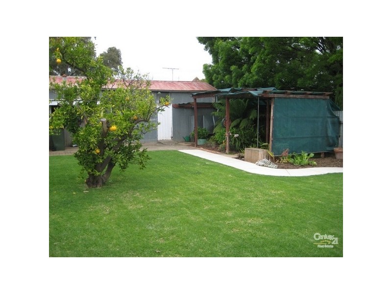 7 Torrens Street, Mitcham SA 5062
