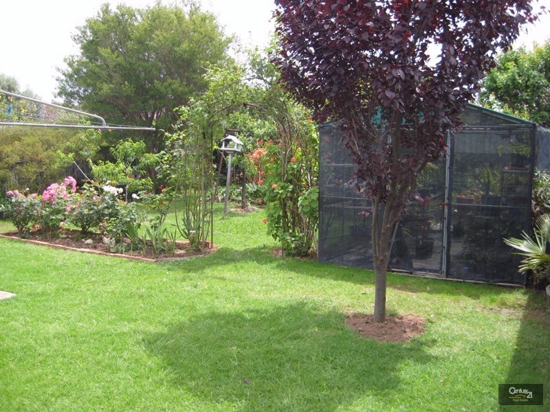 23 Tobruk Avenue, St Marys SA 5042