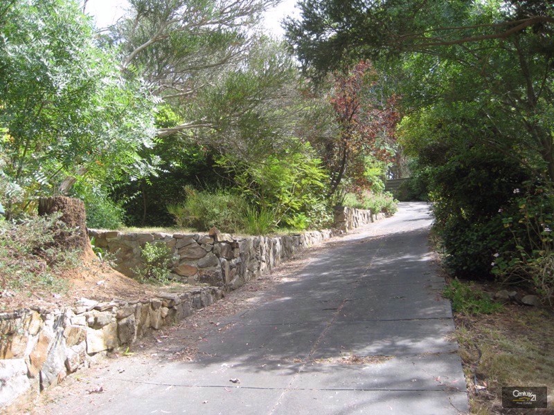 7  Ralph Avenue, Belair SA 5052