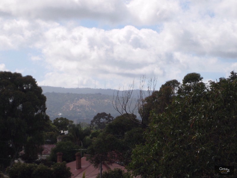 59/49 Leader Street, Goodwood SA 5034