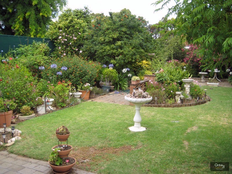 127 Avenue Road, Clarence Gardens SA 5039