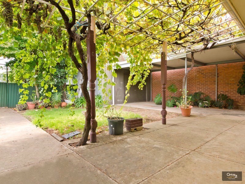 24 Tarragon Street, Mile End SA 5031